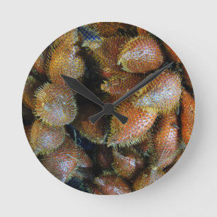 Horloge Ronde Salak [Fruit de serpent]