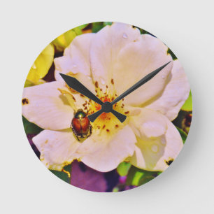 Horloge Ronde Scarabée japonais sur le rose blanc
