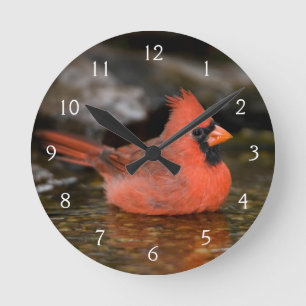 Horloge Ronde Se baigner masculin cardinal du nord