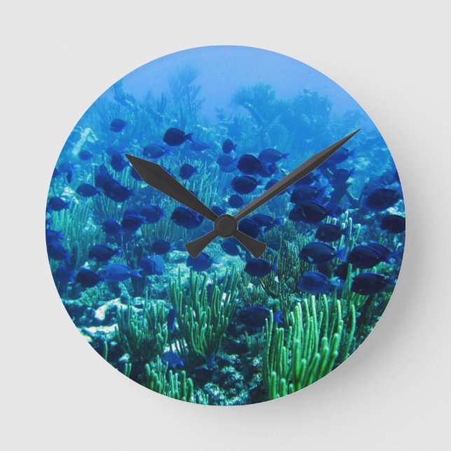 Horloge Ronde Shoal of Blue Discus Fish (Recto)
