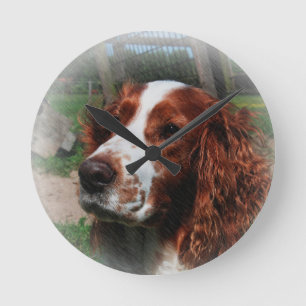 Horloge Ronde Springer Spaniel Chien Art