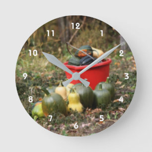 Horloge Ronde Squash Country Garden Harvest Orton