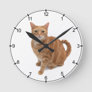 Horloge Ronde Stade de Cat orange