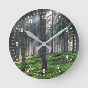 Horloge Ronde Sunfonctionnaires dans la Forêt Noire