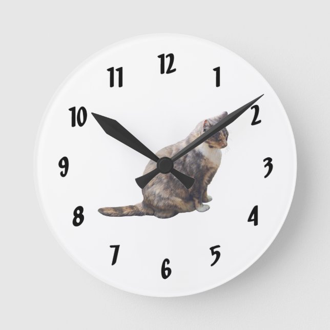 Horloge Ronde Tabby Chat dans les nuances de Brown (Recto)