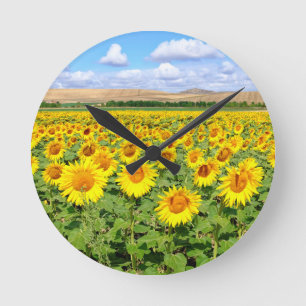 Horloge Ronde Terrain de tournesol