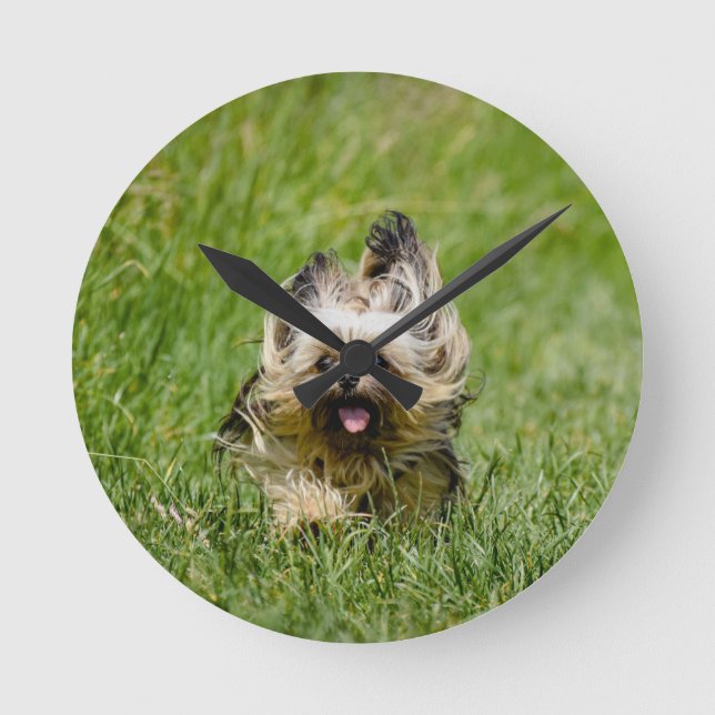 Horloge Ronde Terrier Yorkshire mignon Traversant L'Herbe (Recto)
