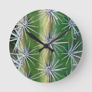 Horloge Ronde The Huntington Botanical Garden, Octopus Cactus