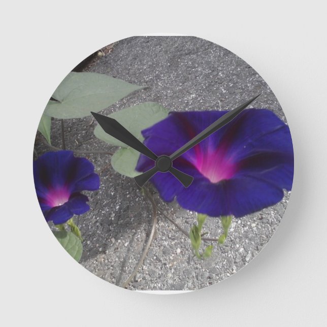 Horloge Ronde The Morning Glory (Recto)
