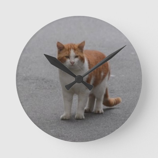 Horloge Ronde Thomas Ginger Et White Cat (Recto)