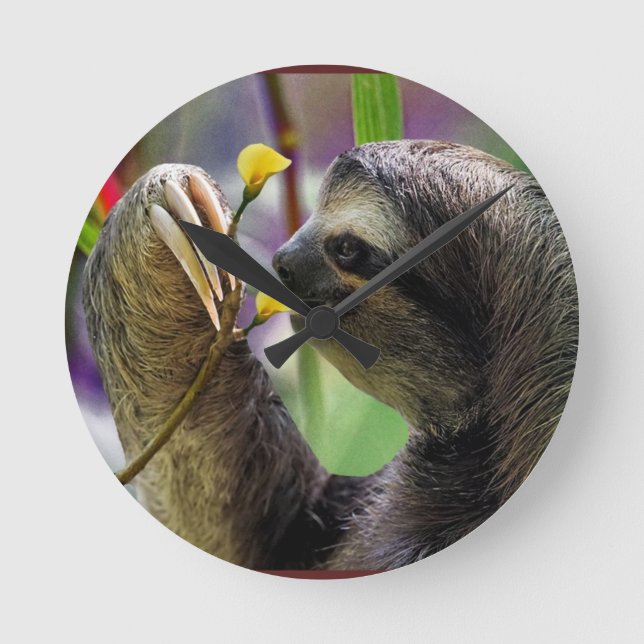 Horloge Ronde Three-Toed Tree Sloth (Recto)