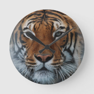 Horloge Ronde Tiger Chat Stripes Jungle Mist Animal
