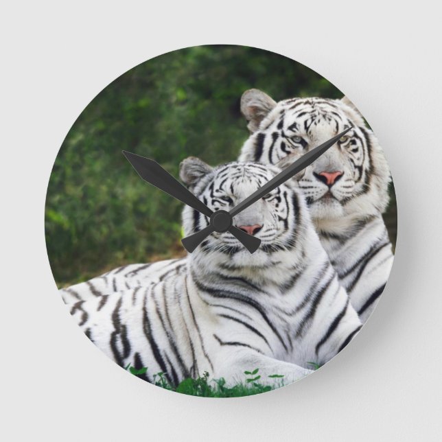 Horloge Ronde Tigres blancs (Recto)