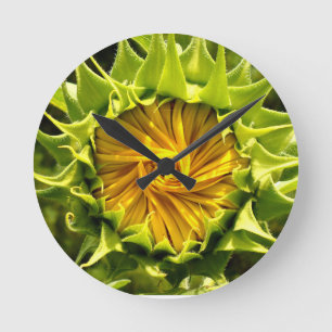Horloge Ronde Tourbillon de tournesol