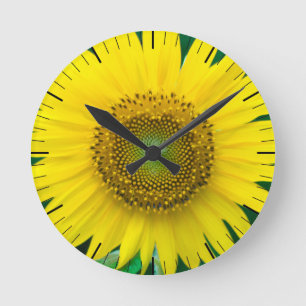 Horloge Ronde Tournesol en été