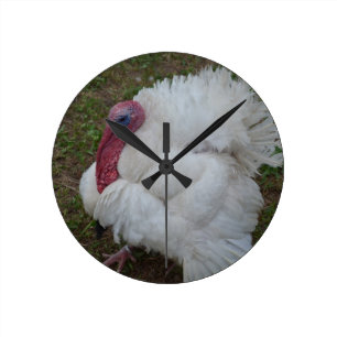 Horloge Ronde Turquie blanche