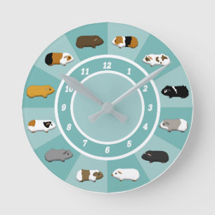 Horloge Ronde Une montre avec un cobaye
