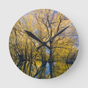 Horloge Ronde Utah. États-Unis. Saules à feuilles de pêcher