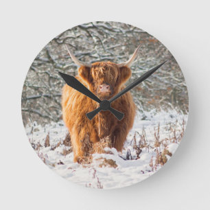 Horloge Ronde Vache écossaise des Highlands dans la neige
