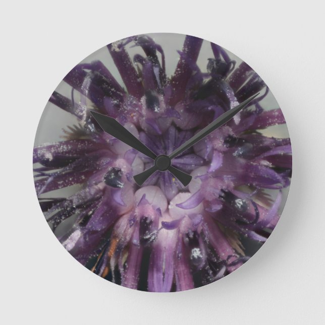 Horloge Ronde Visage d'horloge de bleuet (Recto)