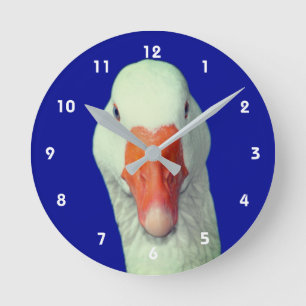 Horloge Ronde Visage d'oie blanche Animal mignon