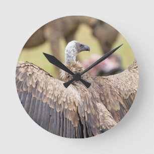 Horloge Ronde Vulture