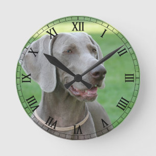 Horloge Ronde Weimaraner
