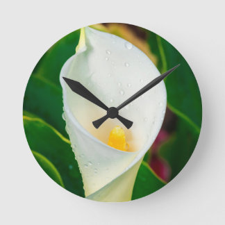 Horloge Ronde White Calla Lily Macro Botanical Photo Nature Art