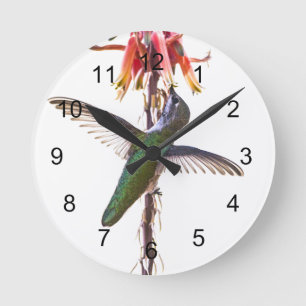 Horloge Ronde Wings de Hummingbird