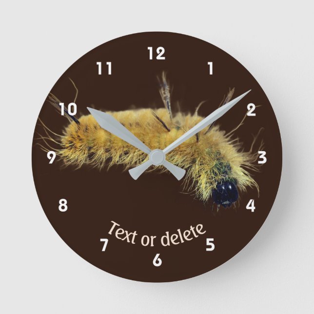 Horloge Ronde Yellow Dagger Moth Caterpillar Personalized (Recto)