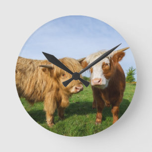 Horloge Ronde Young Highland Cows