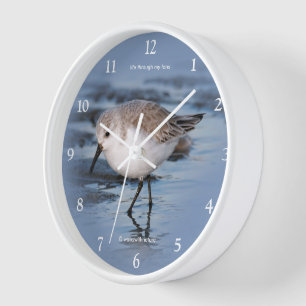 Horloge Shorebird Randing a Winter Beach