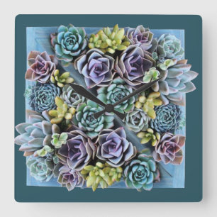 horloge succulente