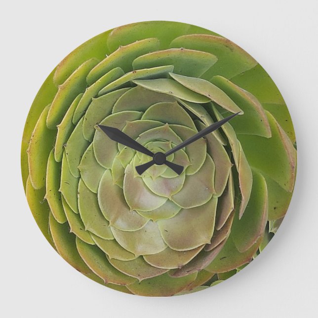 Horloge Succulente (Recto)
