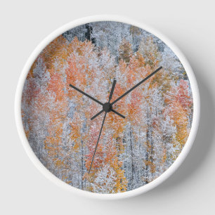 Horloge Trembles & Neige   Montagnes Rocheuses, Colorado