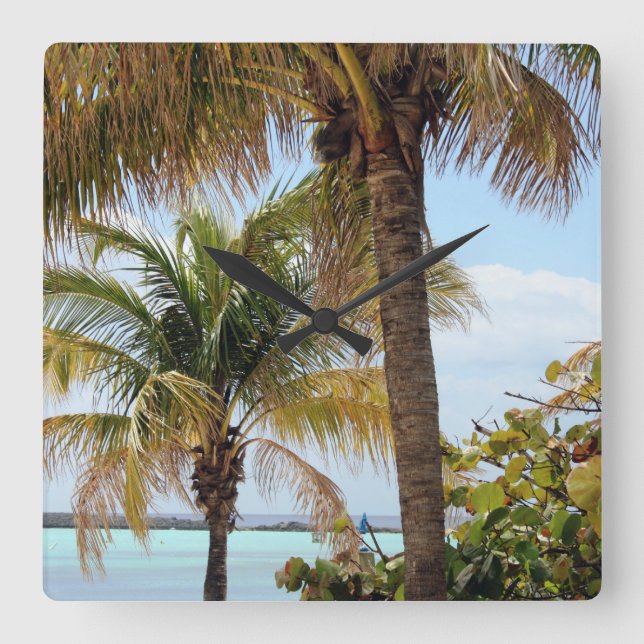 Horloge tropicale de l'île (Recto)