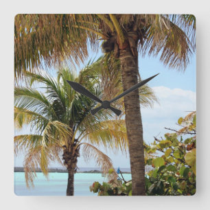 Horloge tropicale de l'île