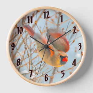 Horloge Vol Cardinal Nord - Photo originale