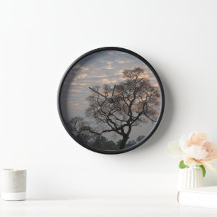 Horloge Zones humides du Pantanal Amérique du Sud, Brési