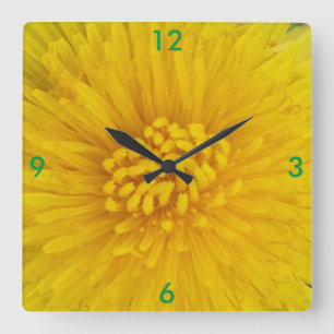 Horloges à fleurs jaunes