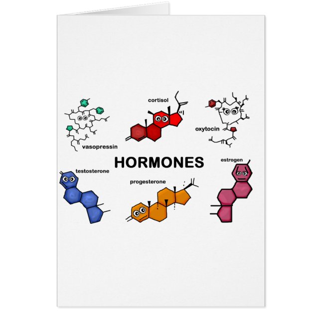 Hormone (Vorne)