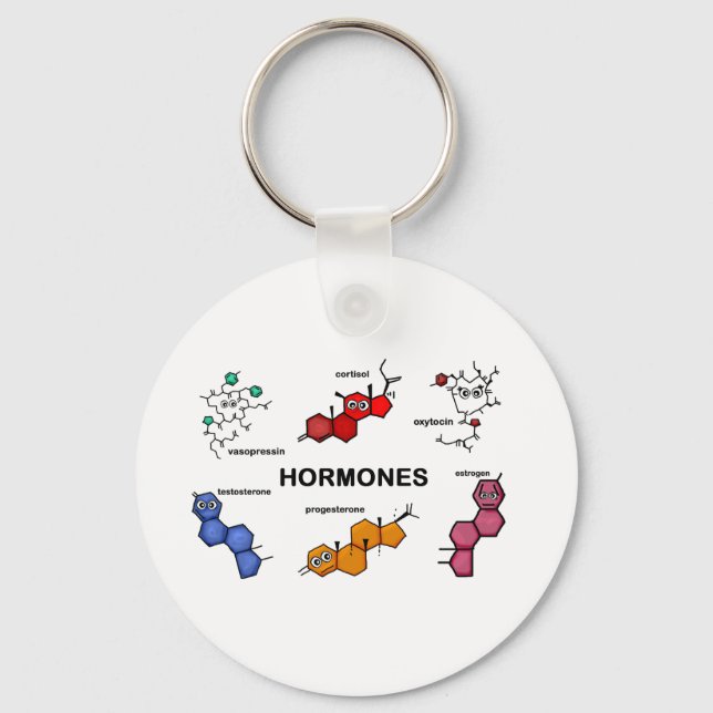 Hormone Schlüsselanhänger (Vorderseite)