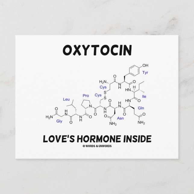 Hormoninside der Oxytocin-Liebe (Chemie) Postkarte (Vorderseite)