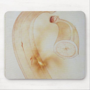 Horn-Banane Mousepad