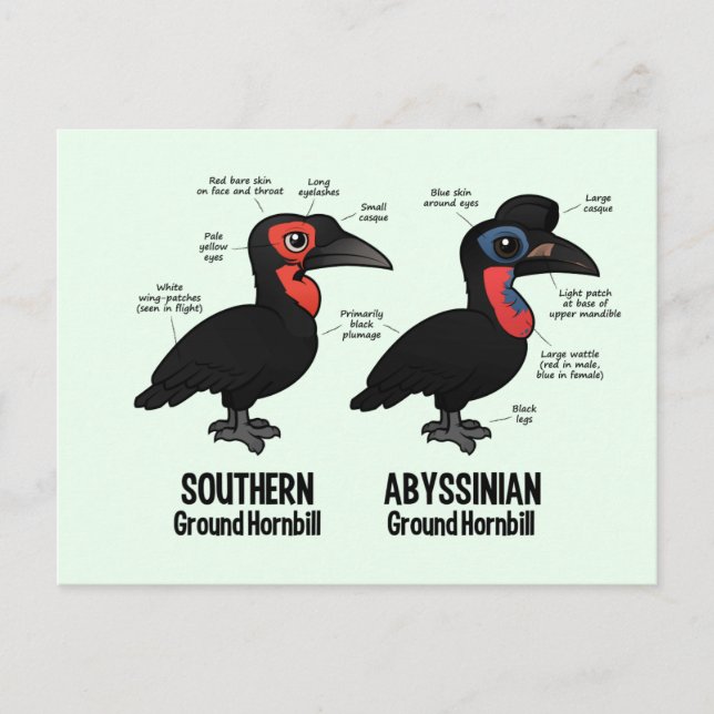 Hornbialstatistik Postkarte (Vorderseite)