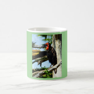 Hornbill Kaffeetasse