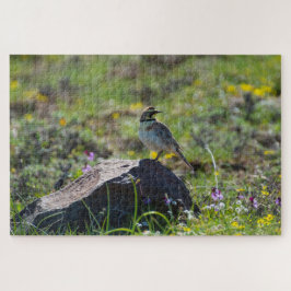 Horned Lark
