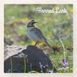Horned Lark Glasuntersetzer