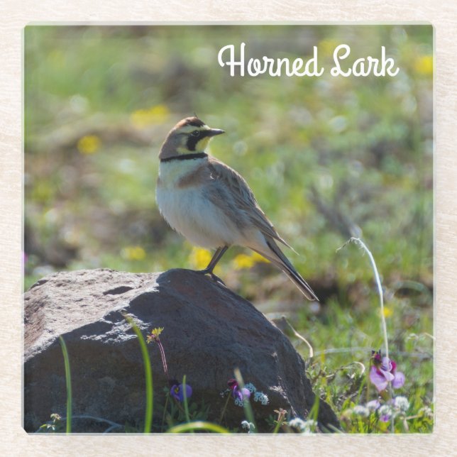 Horned Lark Glasuntersetzer (Vorderseite)