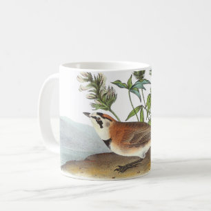 Horned Lark von Audubon Kaffeetasse